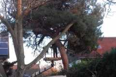 IMG-20190325-WA0006