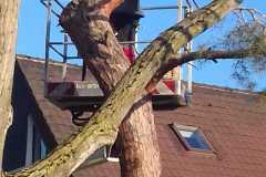 IMG-20190325-WA0023